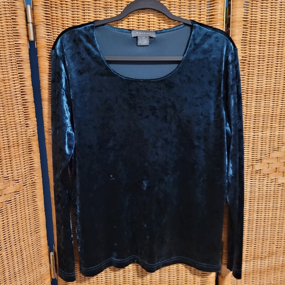 Whimsical Long Sleeve Velvet Top - Picture 1 of 5